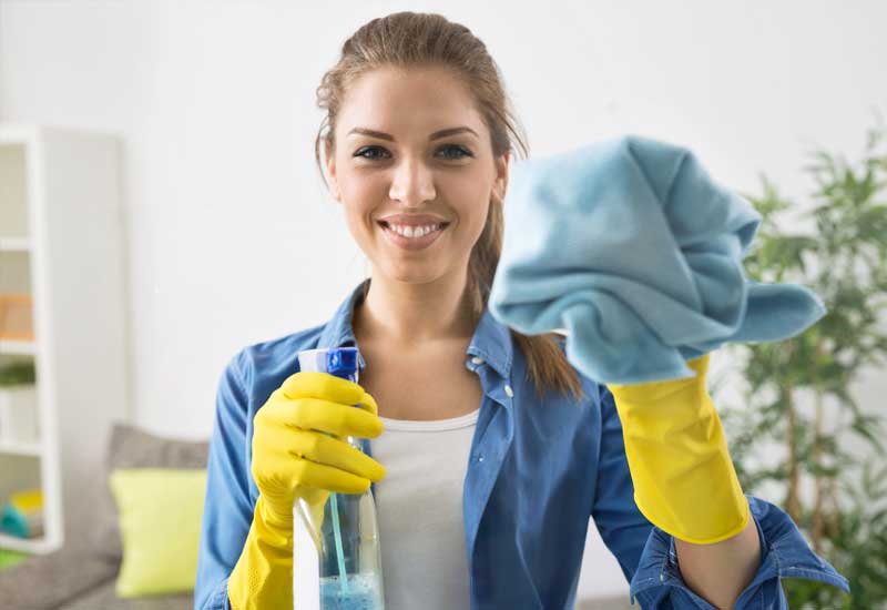 Professional Cleaning Services