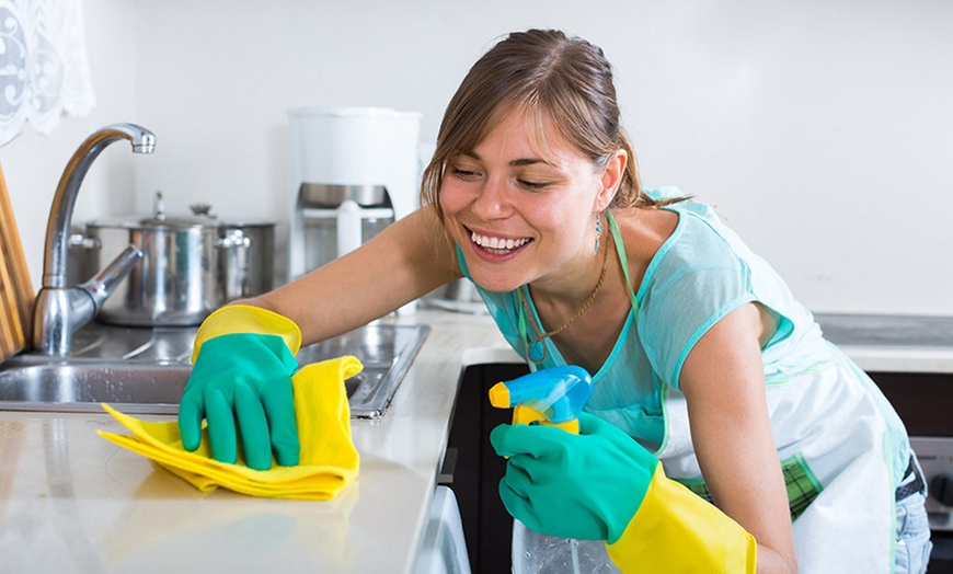 Professional Cleaning Services